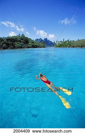 French Polynesia, Bora Bora, Full Length View From Above Woman Snorkeling At Surface In Lagoon Tropical Islands Background View Large Photo Image Stock Photo - French Polynesia, Bora Bora, Full Length View From Above Woman Snorkeling At Surface In Lagoon Tropical Islands Background. Fotosearch
