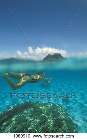 French Polynesia, Bora Bora, Over/Under View Of Woman Snorkeling Near Reef, Blue Sky Above. View Large Photo Image Stock Image - French Polynesia, Bora Bora, Over/Under View Of Woman Snorkeling Near Reef, Blue Sky Above.. Fotosearch