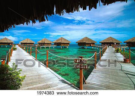Stock Image - French Polynesia, Huahine, Te Tiare Resort Bungalows Over Ocean, Tall Palm Trees Along Beach, Blue Sky. Fotosearch