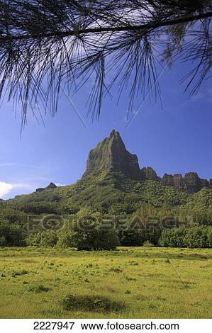 French Polynesia, Landscape With Mount Rotui And Lush Green Fertile Slope; Moorea View Large Photo Image Stock Photo - French Polynesia, Landscape With Mount Rotui And Lush Green Fertile Slope; Moorea. Fotosearch