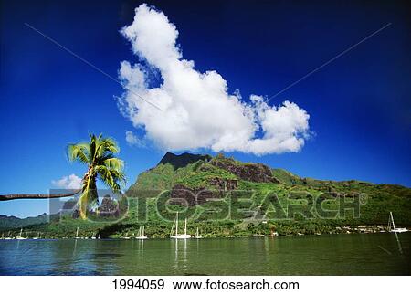 French Polynesia, Moorea, Scenic View Of Island And Puffy Cloud From Ocean. View Large Photo Image Stock Photo - French Polynesia, Moorea, Scenic View Of Island And Puffy Cloud From Ocean.. Fotosearch