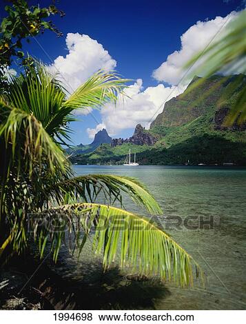 French Polynesia, Moorea, View From Across Cook's Bay With Sailboat Moored View Large Photo Image Stock Photo - French Polynesia, Moorea, View From Across Cook's Bay With Sailboat Moored. Fotosearch
