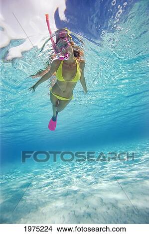 French Polynesia, Moorea, Woman Free Diving In Turquoise Ocean. View Large Photo Image Picture - French Polynesia, Moorea, Woman Free Diving In Turquoise Ocean.. Fotosearch