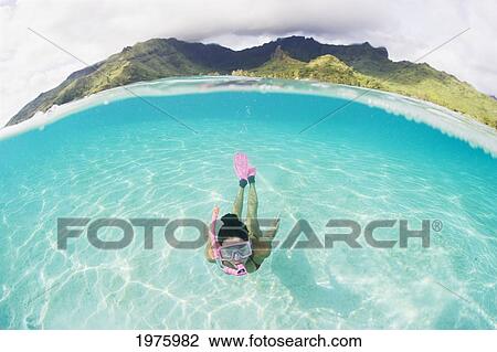 Stock Image - French Polynesia, Moorea, Woman Free Diving In Turquoise Ocean.. Fotosearch