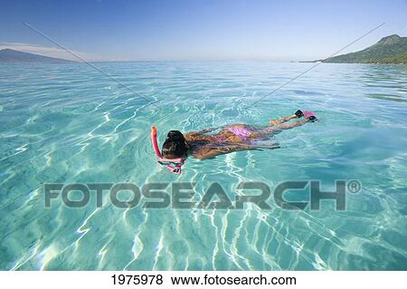 French Polynesia, Moorea, Woman Free Diving In Turquoise Ocean. View Large Photo Image Stock Photo - French Polynesia, Moorea, Woman Free Diving In Turquoise Ocean.. Fotosearch