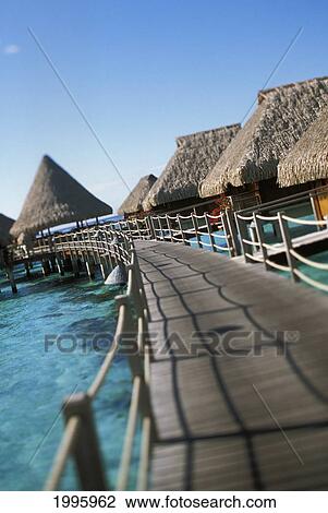 French Polynesia, Moorea, Wooden Walkway Over Crystal Water Leading To Water Bungalows View Large Photo Image Stock Image - French Polynesia, Moorea, Wooden Walkway Over Crystal Water Leading To Water Bungalows. Fotosearch