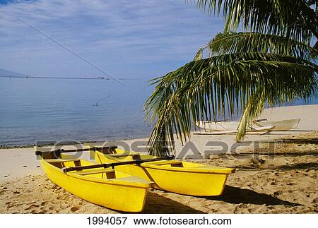 French Polynesia, Rangiroa, Kia Ora, Yellow Double Canoe On Beach View Large Photo Image Stock Photo - French Polynesia, Rangiroa, Kia Ora, Yellow Double Canoe On Beach. Fotosearch