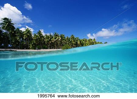 French Polynesia, Roroia Atoll, Over/Under View Of Turquoise Ocean, Palm Lined Beach View Large Photo Image Picture - French Polynesia, Roroia Atoll, Over/Under View Of Turquoise Ocean, Palm Lined Beach. Fotosearch