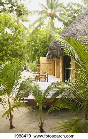 Stock Photo - French Polynesia, Taha'a, Deck Of Thatch Roof Bungalow With Lounge Chairs, Surrounded By Palm Trees. Fotosearch