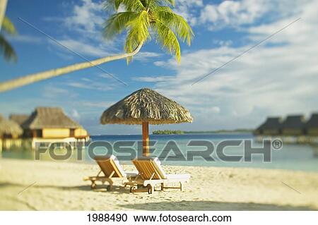Stock Image - French Polynesia, Tahiti, Bora Bora, Lounge Chairs And Thatch Umbrella On Beach With Tranquil Ocean And Bungalows. Fotosearch