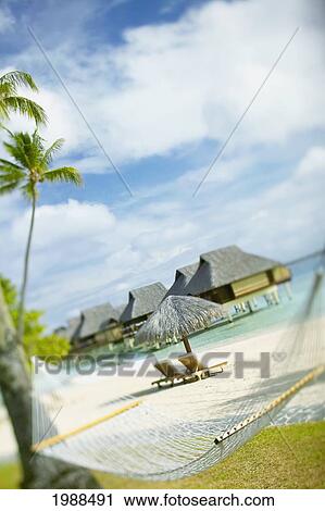 Stock Image - French Polynesia, Tahiti, Bora Bora, Hammock In Foreground Of Lounge Chairs And Thatch Umbrella On Beach With Tranquil Ocean And Bungalows. Fotosearch