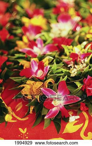 Stock Photo - French Polynesia, Tahiti, Closeup Of Flower Leis. Fotosearch