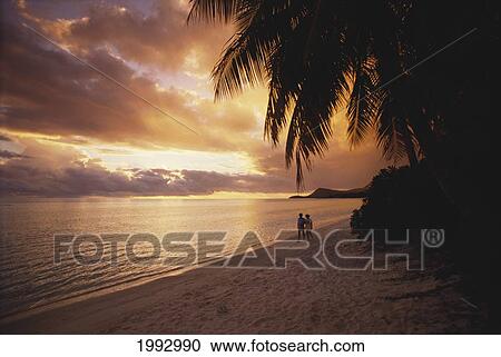 French Polynesia, Tahiti, Couple Walking Under Palm Trees On The Beach. View Large Photo Image Stock Image - French Polynesia, Tahiti, Couple Walking Under Palm Trees On The Beach.. Fotosearch