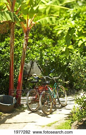 Stock Image - French Polynesia, Tahiti, Local bikes parked in driveway; Maupiti. Fotosearch