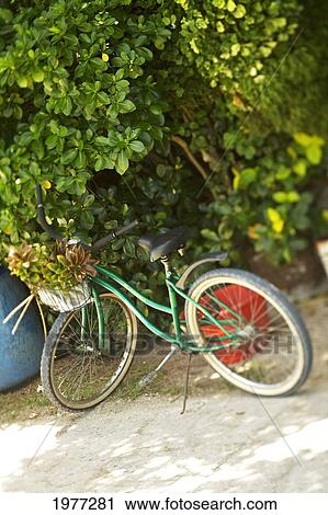 Stock Image - French Polynesia, Tahiti, Maupiti, Bicycle Parked Under Tree.. Fotosearch