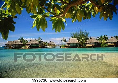 French Polynesia, Tahiti, Moorea, Park Royal Hotel Taken From Turquoise Water View Large Photo Image Stock Photograph - French Polynesia, Tahiti, Moorea, Park Royal Hotel Taken From Turquoise Water. Fotosearch