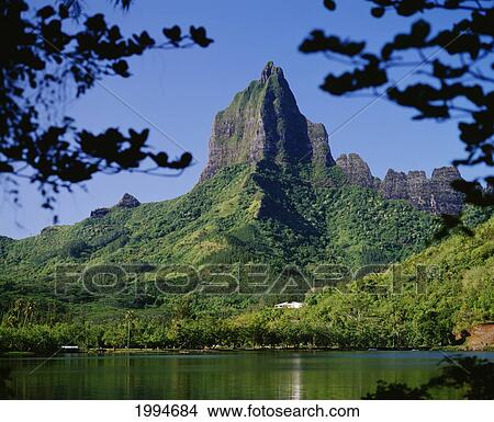 French Polynesia, Tahiti, Moorea, View Of Mount Rotui From Across Opunohu Bay View Large Photo Image Picture - French Polynesia, Tahiti, Moorea, View Of Mount Rotui From Across Opunohu Bay. Fotosearch