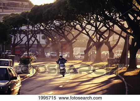Stock Photography - French Polynesia, Tahiti, Papaeete, Motorcyclist Riding Along Tree-Lined Road At Sunset. Fotosearch