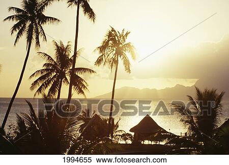 Stock Photography - French Polynesia, Tahiti, Papeete, Sunset At Beachcomber Hotel, Moorea In Background, Golden Skies. Fotosearch