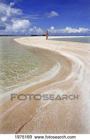 French Polynesia, Tahiti, Rangiroa, Pink Sands Beach With Woman In The Distant. View Large Photo Image Stock Photo - French Polynesia, Tahiti, Rangiroa, Pink Sands Beach With Woman In The Distant.. Fotosearch