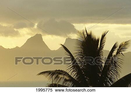 French Polynesia, Tahiti, Sunset Along Maeva Beach, Moorea In Background, Misty Sky View Large Photo Image Stock Photography - French Polynesia, Tahiti, Sunset Along Maeva Beach, Moorea In Background, Misty Sky. Fotosearch