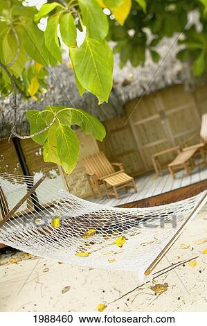 Stock Image - French Polynesia, Tahiti, Taha'a, Hammock On Sandy Beach In Front Of Thatch Bungalows And Deck Chairs. Fotosearch