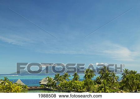 French Polynesia, Tahiti, View Of Moorea Across Turquoise Ocean, Palm Trees And Grass Huts In Foreground View Large Photo Image Stock Photo - French Polynesia, Tahiti, View Of Moorea Across Turquoise Ocean, Palm Trees And Grass Huts In Foreground. Fotosearch
