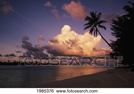 French Polynesia, Tetiaroa (Marlon Brando's Island), Beautiful Beach With Palm Tree At Sunset. View Large Photo Image Stock Photograph - French Polynesia, Tetiaroa (Marlon Brando's Island), Beautiful Beach With Palm Tree At Sunset.. Fotosearch