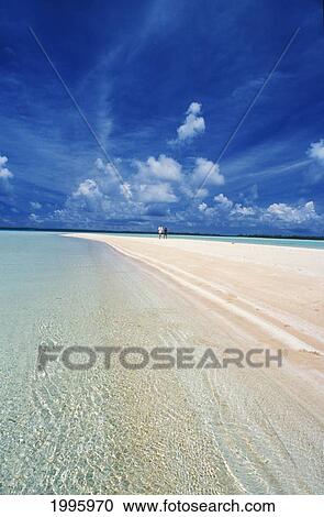 French Polynesia, Tuamotu Islands, Pink Sand Motu, Rangiroa Lagoon, Couple Walking On Sandbar. View Large Photo Image Stock Image - French Polynesia, Tuamotu Islands, Pink Sand Motu, Rangiroa Lagoon, Couple Walking On Sandbar.. Fotosearch