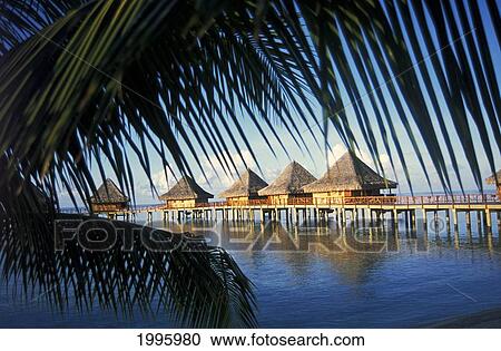 French Polynesia, Tuamotu Islands, Rangiroa Atoll, Kia Ora, View Of Bungalows On Ocean View Large Photo Image Stock Image - French Polynesia, Tuamotu Islands, Rangiroa Atoll, Kia Ora, View Of Bungalows On Ocean. Fotosearch