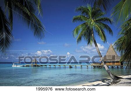 French Polynesia, Tuamotu Islands, Rangiroa Atoll, Kia Ora, Bungalows On Ocean From Shore. View Large Photo Image Stock Photograph - French Polynesia, Tuamotu Islands, Rangiroa Atoll, Kia Ora, Bungalows On Ocean From Shore.. Fotosearch