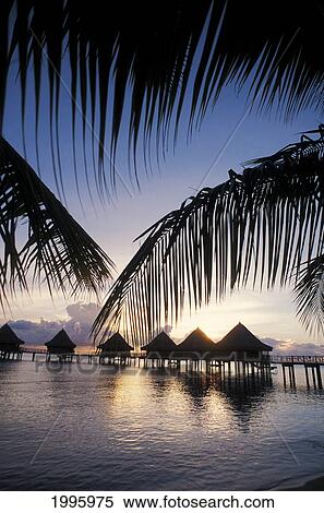 French Polynesia, Tuamotu Islands, Rangiroa Atoll, Kia Ora, Bungalows On Ocean From Shore. View Large Photo Image Stock Photography - French Polynesia, Tuamotu Islands, Rangiroa Atoll, Kia Ora, Bungalows On Ocean From Shore.. Fotosearch