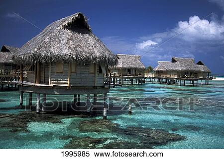 French Polynesia, Tuamotu Islands, Tikehau, Pearl Beach Resort, Bungalows On Clear Water View Large Photo Image Stock Photography - French Polynesia, Tuamotu Islands, Tikehau, Pearl Beach Resort, Bungalows On Clear Water. Fotosearch