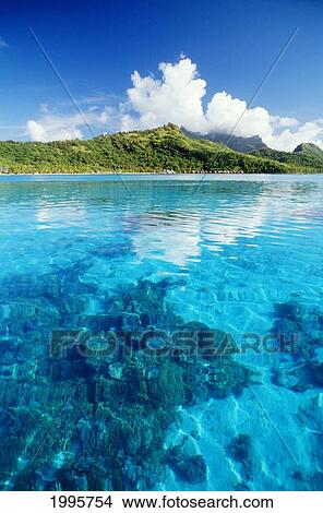 Picture - French Polynesia, Turquoise Ocean With Coral Beneath Surface. Fotosearch
