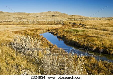 Frenchman River in East Block of Grasslands National Park; Saskatchewan, Canada View Large Photo Image Picture - Frenchman River in East Block of Grasslands National Park; Saskatchewan, Canada. Fotosearch