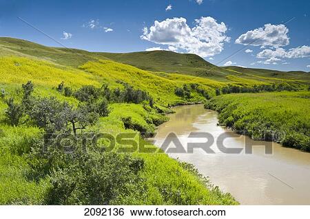 Frenchman River In West Block Of Grasslands National Park; Saskatchewan Canada View Large Photo Image Stock Photograph - Frenchman River In West Block Of Grasslands National Park; Saskatchewan Canada. Fotosearch