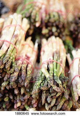 Stock Photography - Fresh Asparagus For Sale In A Market, Close Up. Fotosearch