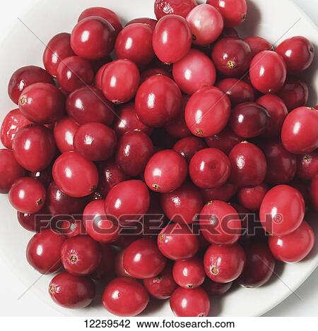Stock Image - Fresh cranberries on a white plate. Fotosearch