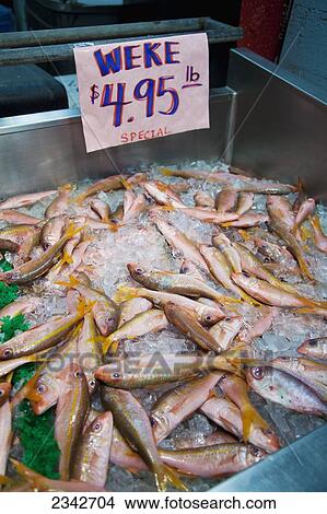 Fresh fish on ice for sale; Honolulu, Oahu, Hawaii, United States of America View Large Photo Image Picture - Fresh fish on ice for sale; Honolulu, Oahu, Hawaii, United States of America. Fotosearch