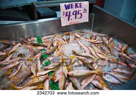 Stock Image - Fresh fish on ice for sale; Honolulu, Oahu, Hawaii, United States of America. Fotosearch