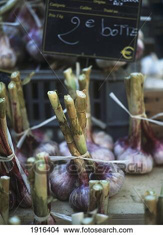 Picture - Fresh Garlic For Sale In The Market. Fotosearch