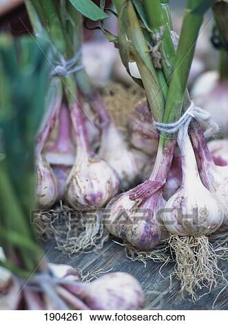Stock Image - Fresh Garlic For Sale In The Market, Aix-En-Provence, France.. Fotosearch