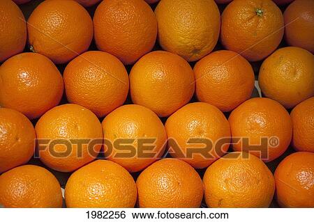 Stock Photograph - Fresh Oranges; Istanbul Turkey. Fotosearch