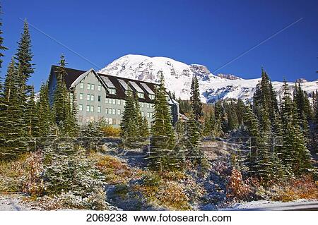 Stock Photo - Fresh Snow On Autumn Colours Add Beauty To Mt. Rainier; Washington United States Of America. Fotosearch