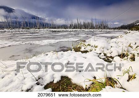 Fresh Snowfall On The Vermillion Lakes. Banff National Park, Alberta, Canada. View Large Photo Image Stock Image - Fresh Snowfall On The Vermillion Lakes. Banff National Park, Alberta, Canada.. Fotosearch