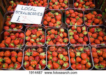 Stock Photo - Fresh Strawberries For Sale. Fotosearch