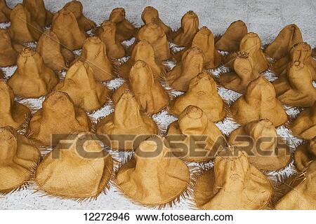 Stock Photograph - Freshly woven and dyed panama hats made from toquilla straw drying at the Homero Ortega Panama Hat Factory, Cuenca, Azuay, Ecuador. Fotosearch