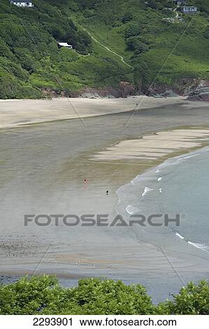 Stock Image - Freshwater East. One of the most beautiful beaches in Britain. Pembrokeshire. Wales. Cymru. UK. United Kingdom.. Fotosearch