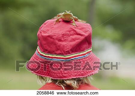 Stock Photograph - Frog Sitting On The Top Of Young Boy's Hat On A Sunny Summer Day, Ontario. Fotosearch
