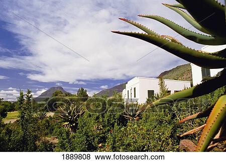 Stock Photo - Front Garden In Front Of Residential Houses. Fotosearch
